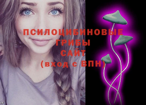 экстази Алексин
